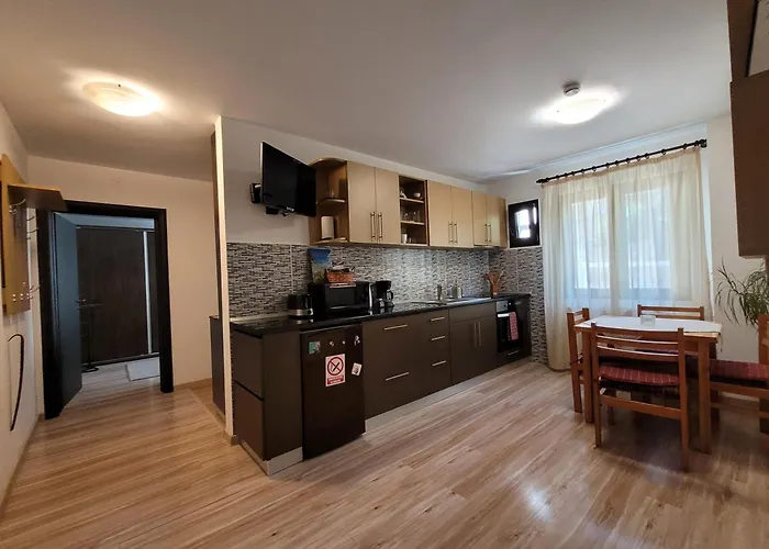 Central Place Apartment Timisoara