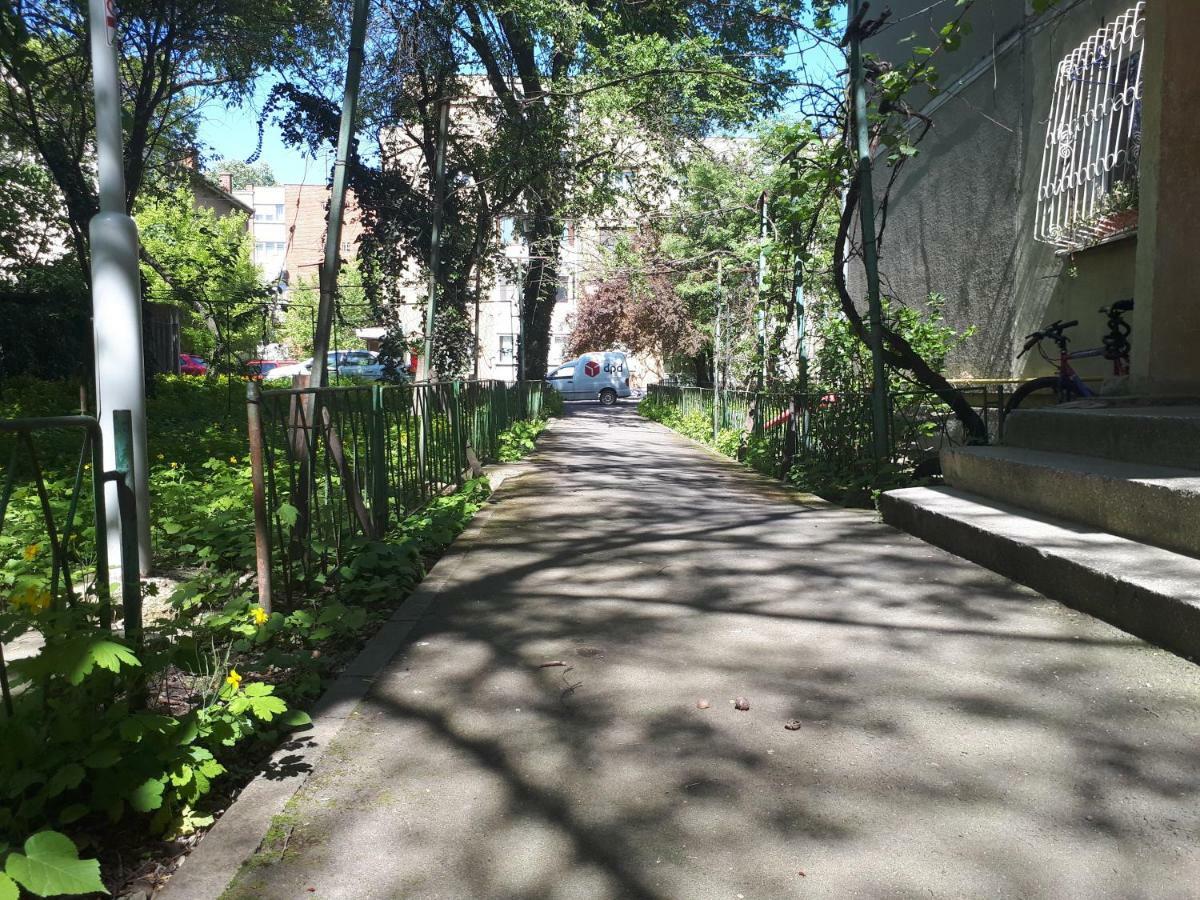 Place Timişoara